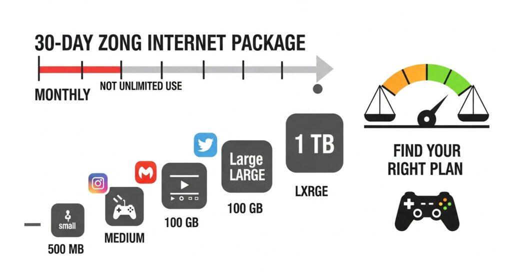 An infographic showing a timeline or calendar labeled “30-Day Zong Internet Package” to emphasize that “monthly” means duration, not unlimited use.